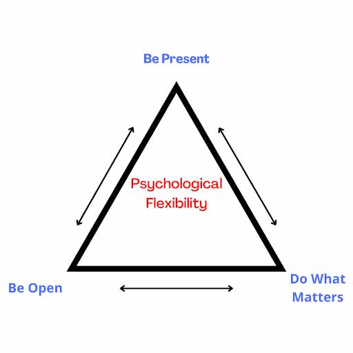 Psychological Flexibility Triangle